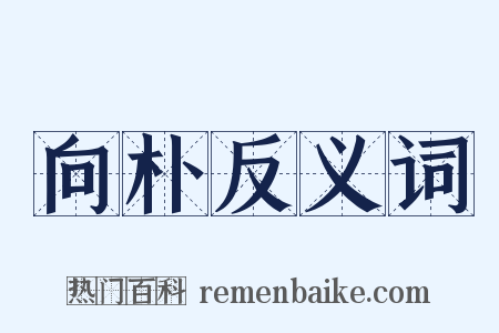 向朴反义词是什么意思的图片